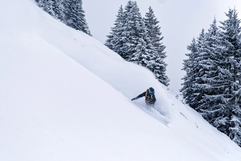 REGULAR POWDERCHASE