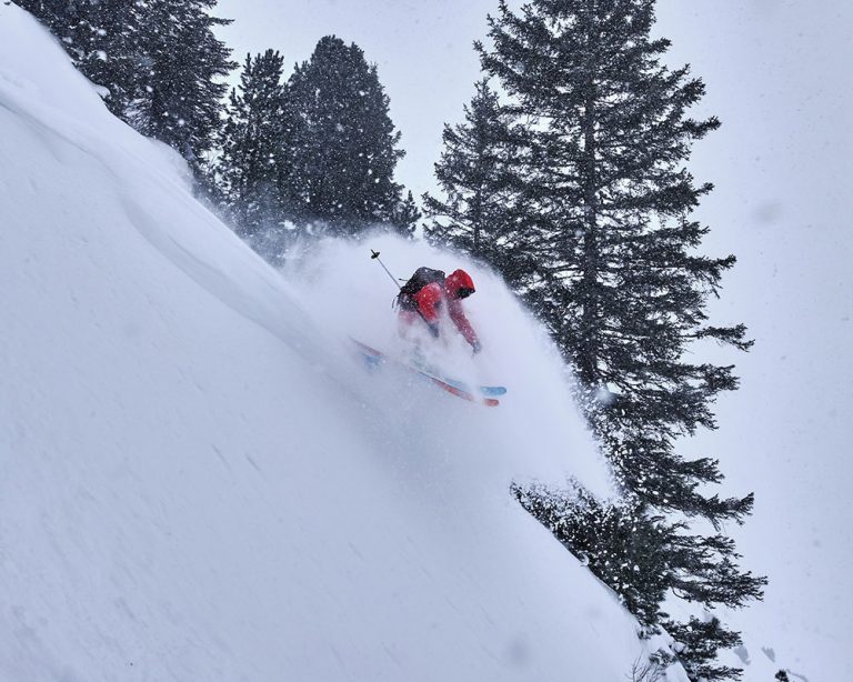 Freeriding and snorkeling through Powder